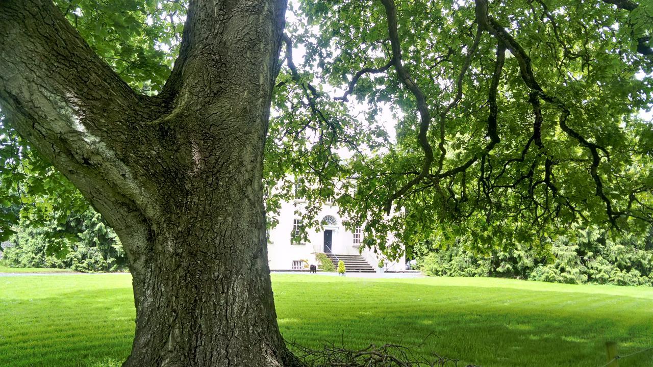 Augherea House Longford Dış mekan fotoğraf
